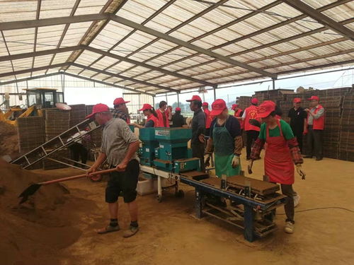 水稻育秧新篇章 我縣工廠化技術觀摩與技術轉讓活動成功舉辦